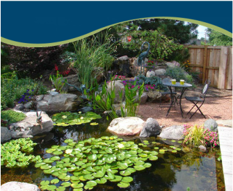 Backyard ecosystem fish ponds