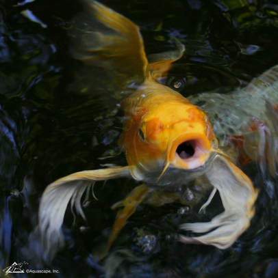 Sun & Heat Koi Cave Pond Fish Hiding Place Predators Heavy Duty 14.5" x 24" 
